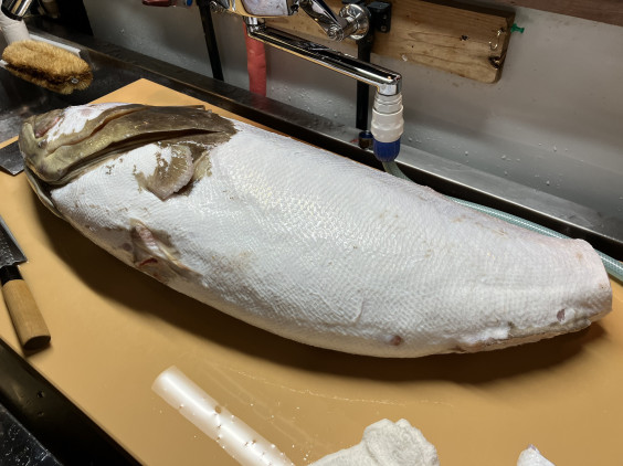 いっちょあがり 魚酒処 宵の月 いっちょあがり 魚酒処 宵の月