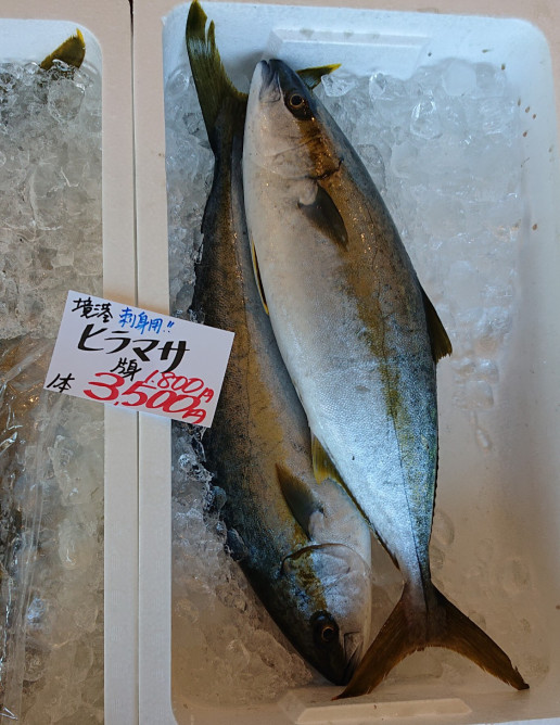 福田鮮魚 の 丸子のお刺身 のんきーのはらぺこ日記 3杯目 鳥取県で食べます