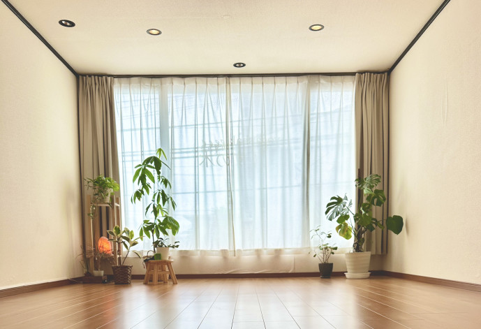 yoga shala くすの木.の画像