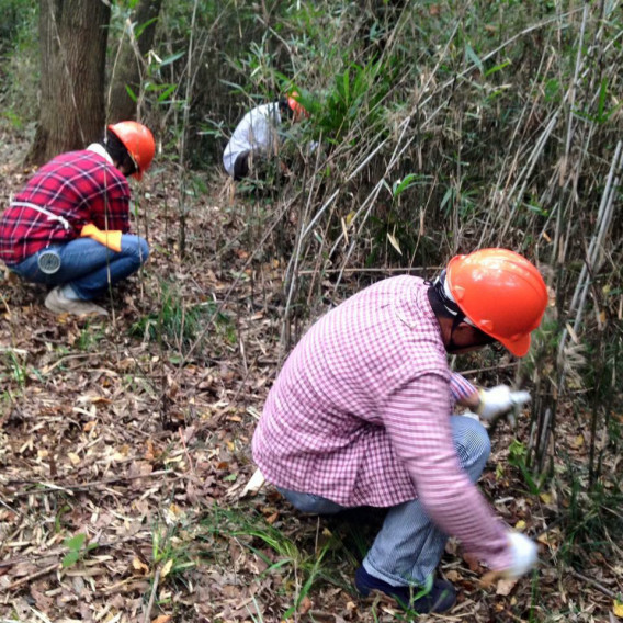 みんなで創ろうツリーハウス よしみ里山 プロジェクト