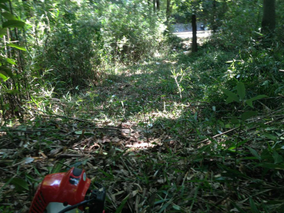 ある里山の10年と太陽光発電設備 よしみ里山 プロジェクト