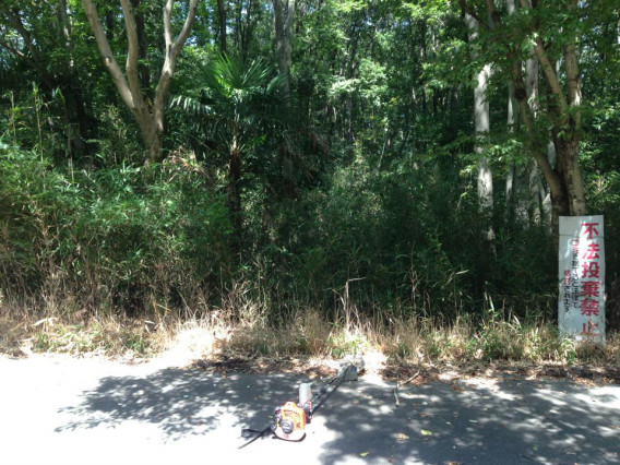 ある里山の10年と太陽光発電設備 よしみ里山 プロジェクト