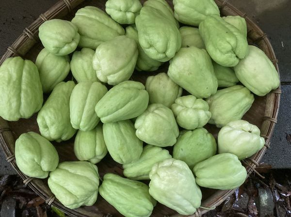 1個120円～」販売中！！【ハヤトウリ】地元のスーパー「カスミ阿見町店