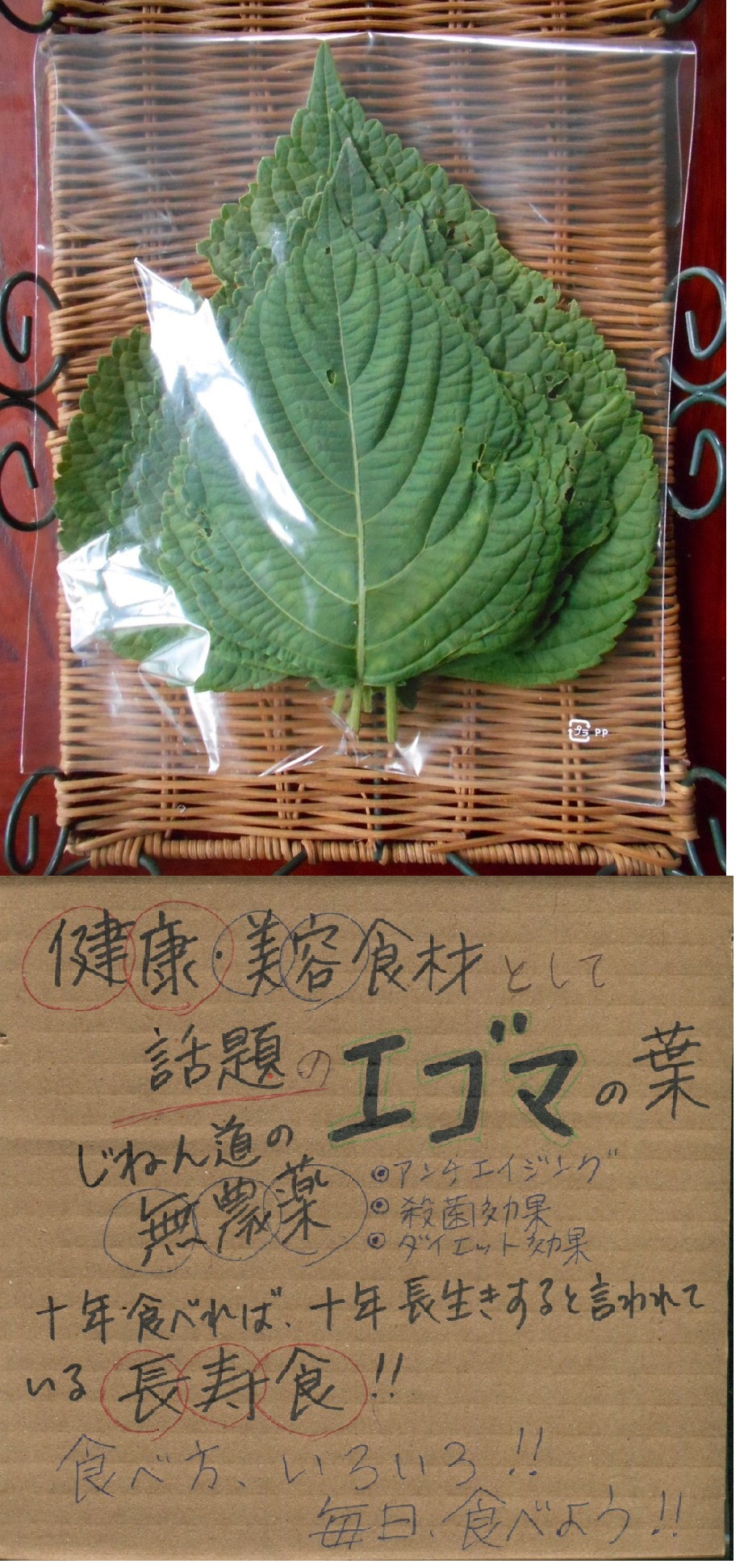 山菜・野菜 | Jinendo's Ownd