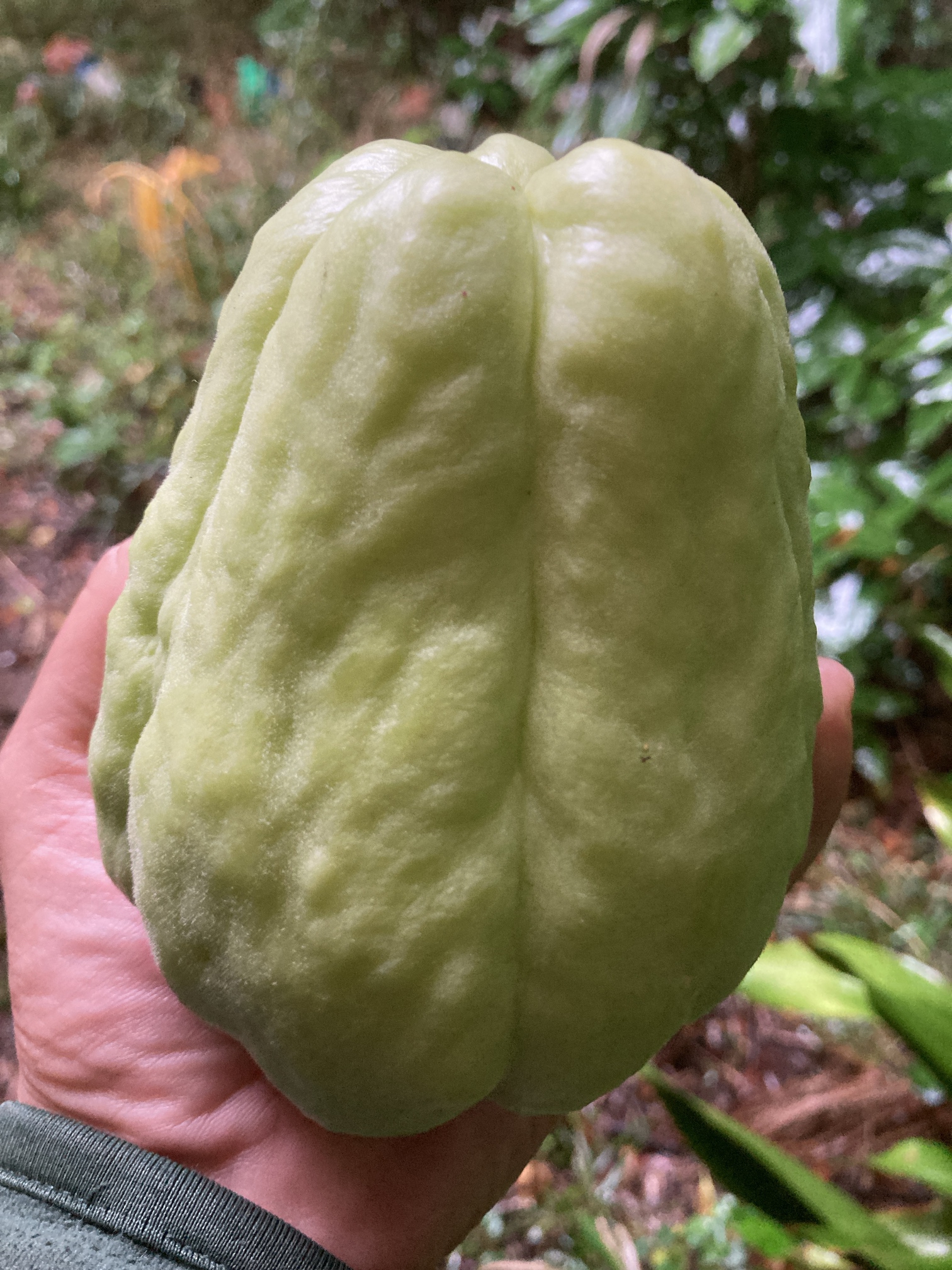 a9b91c041d6828a1c1f86d4d9976f1