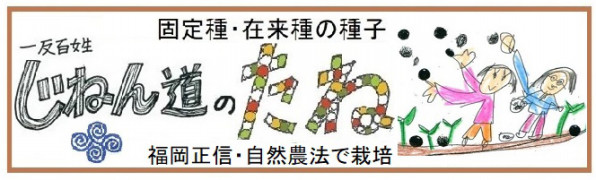 固定種 在来種の種子 タネ Jinendo S Ownd