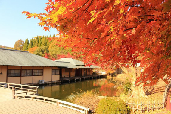 広島 紅葉の三景園 One Scenes