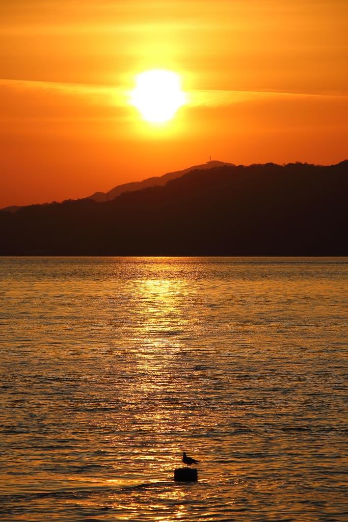 令和2年春の瀬戸内の夕日 | ONE SCENES