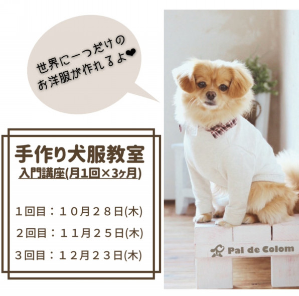 10月スタート入門講座 生徒募集開始 犬の洋服屋さん 犬服教室