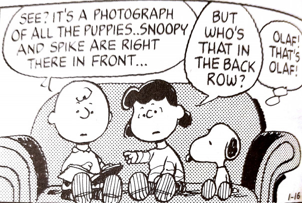 ブサイク犬コンテスト その２ Olaf Fan