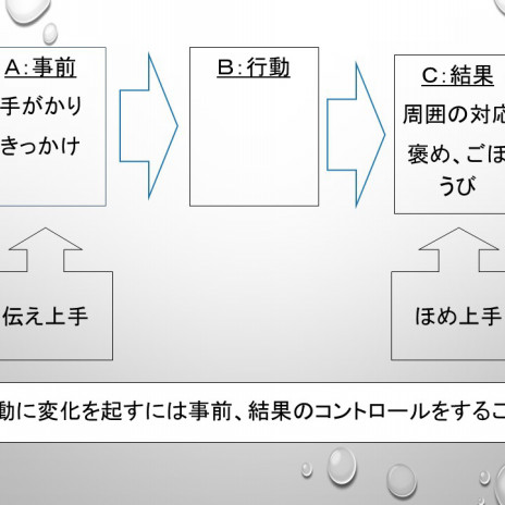 応用行動分析とは なるさ 療育学習室