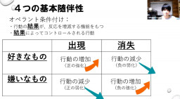 応用行動分析 なるさ 療育学習室