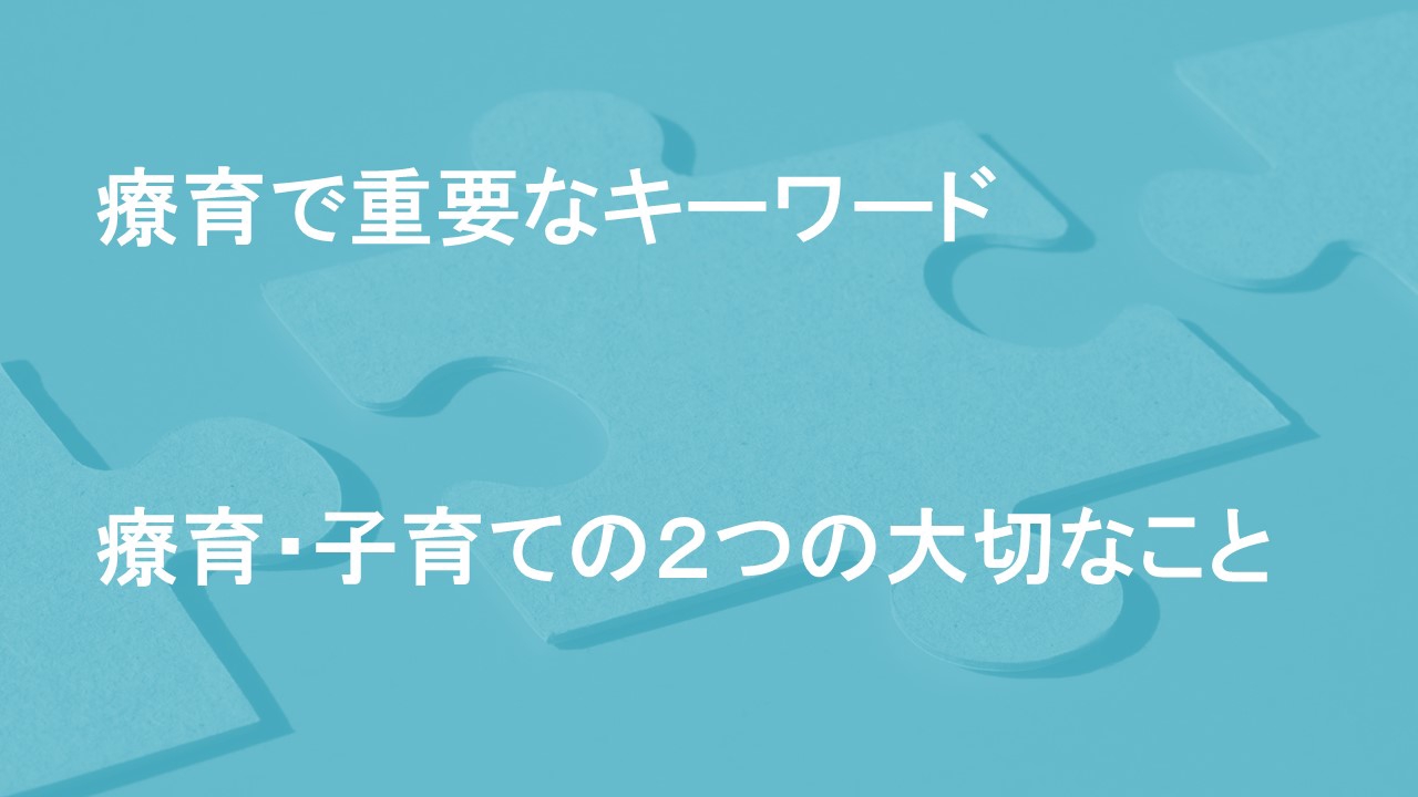 療育 子育てで大切な2つのこと なるさ 療育学習室