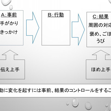 応用行動分析が誤解される理由 私論 なるさ 療育学習室