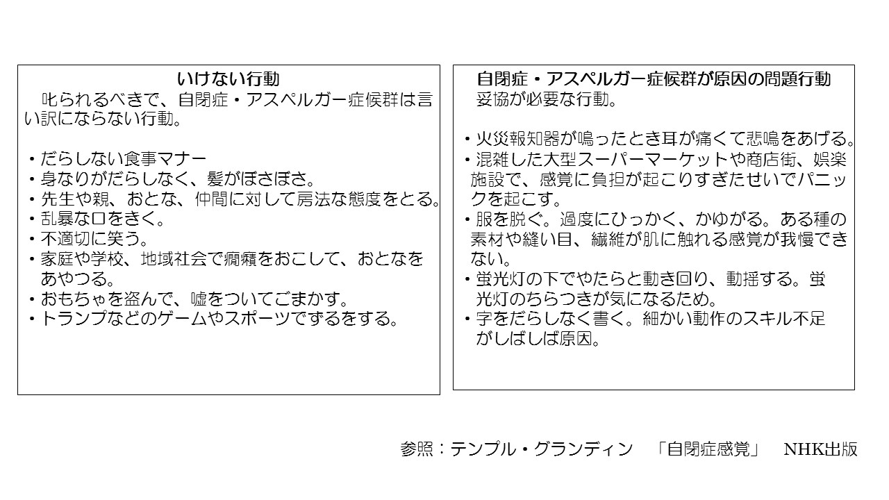 自閉症の妥協の必要な行動 なるさ 療育学習室
