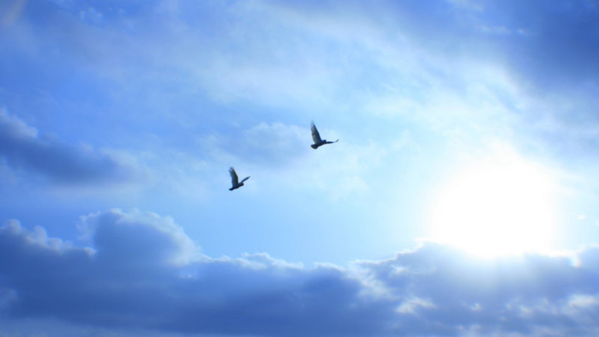 4988003484859; /CD シンブリード / マスター クリエイター(一般)｜売買されたオークション情報、yahooの商品, image size:1920x1080