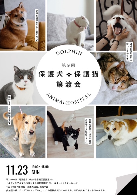 ♡ohana様ご確認♡ NEWS | Ohana with