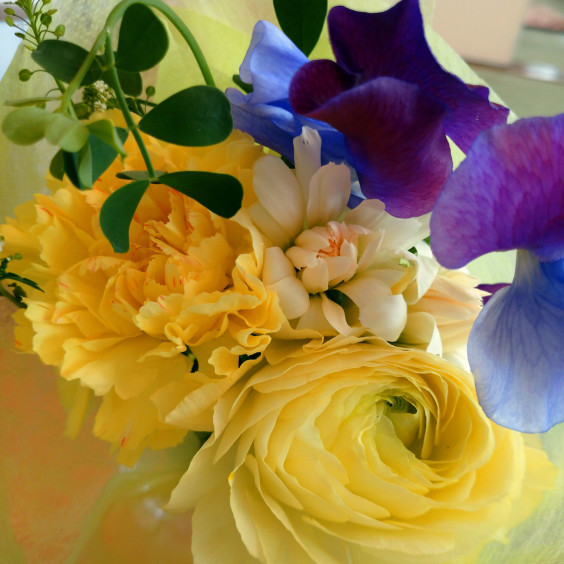 花遊び ワクワクの芽のお教室