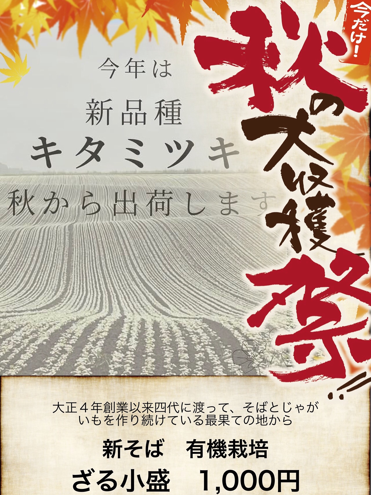 十割そば製麺機NS-90型44万円(税込)