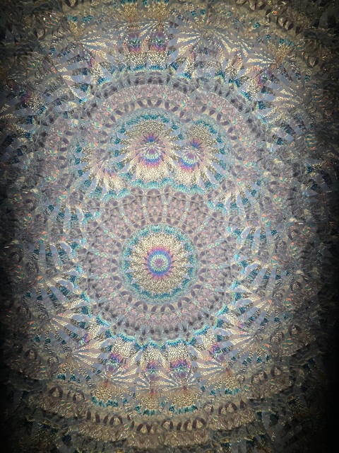 野田麻里「Wisteria garden」 | Art Kaleidoscope Japan 日本のアート