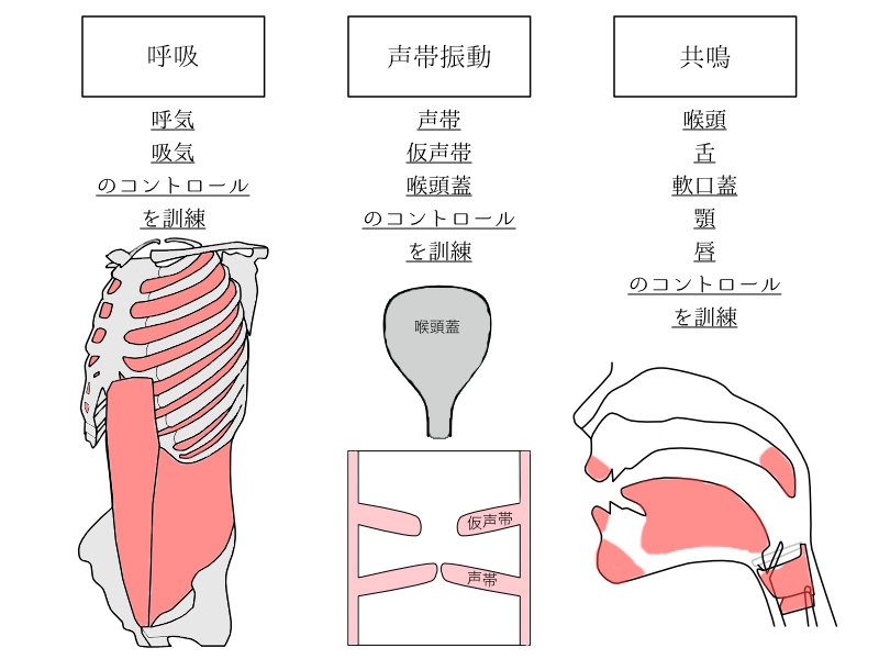 レッスン | AcappelLabo 〜音楽家 富本泰成のホームページ〜