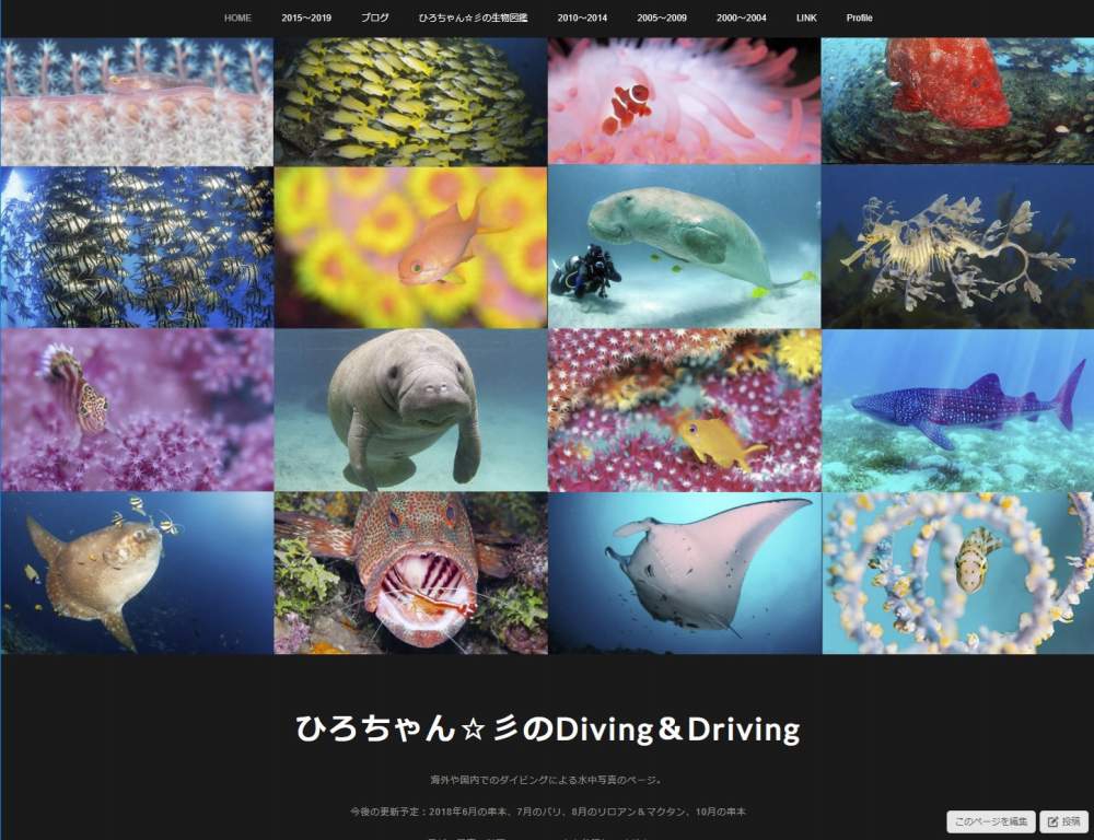 ひろちゃん☆彡のダイビングウェブ Hirochan's diving web