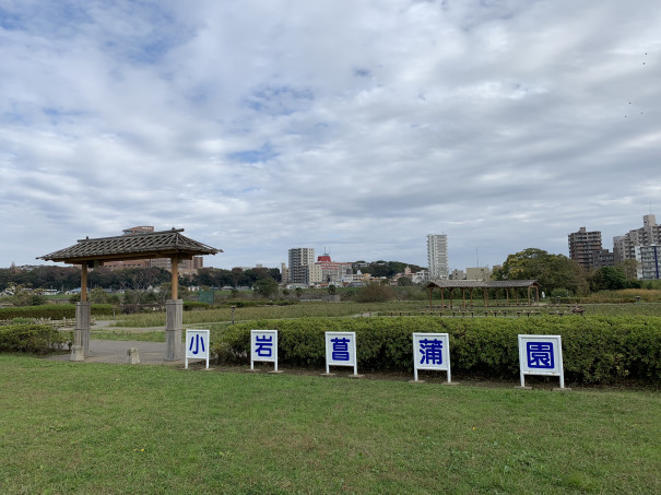 小岩菖蒲園 江戸川 S Ownd