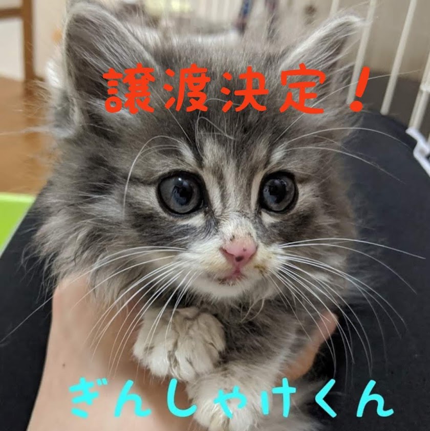 8616a0fe291e83b50b200256e8cfda