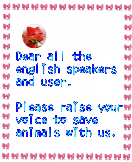 赤いりぼん英語部スタート チーム赤いりぼん Save Animals