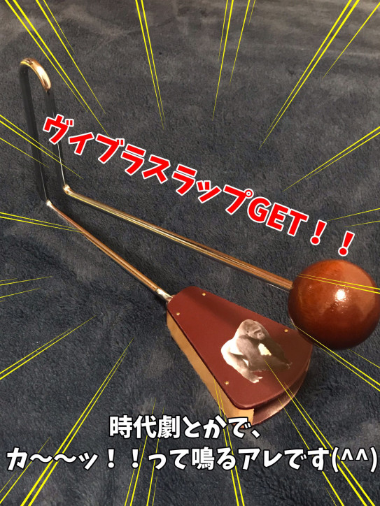 ヴィブラスラップ 保育士 紙芝居師ゴリラせんせい 地球丸ごと夢を運ぶぞー ヴィブラスラップ 保育士 紙芝居師ゴリラせんせい 地球丸ごと夢を運ぶぞー