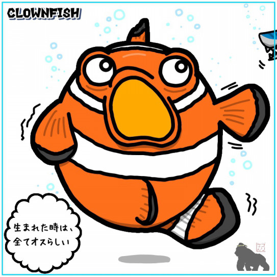 タマゴでカクレクマノミ 保育士 紙芝居師ゴリラせんせい 地球丸ごと夢を運ぶぞー タマゴでカクレクマノミ 保育士 紙芝居師ゴリラせんせい 地球丸ごと夢を運ぶぞー