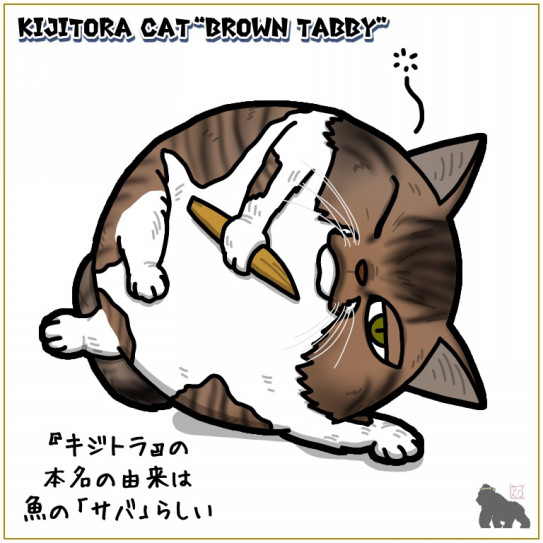 キジトラ猫 イラスト