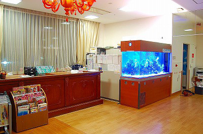 メンテナンス 水槽の施工 維持 管理 葵熱帯魚