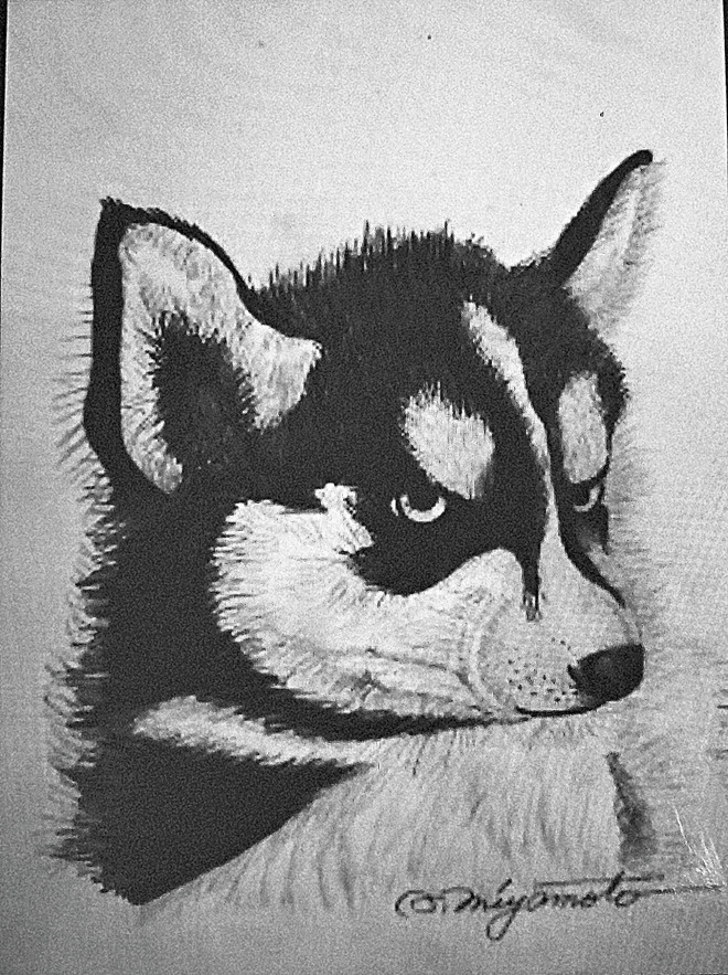 ハスキー犬 鉛筆画 過去絵 Art Charcoal And Poem Gallery