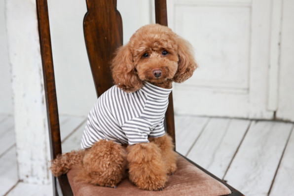 Arm Warm T Shirt L W D Look Book Arm Warm T Shirt L W D Look Book