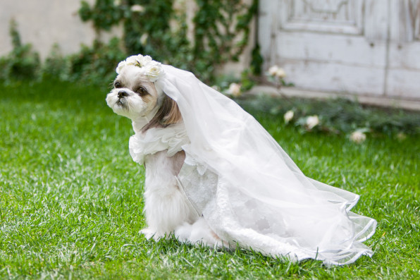 Wedding Dress Veil L W D Look Book