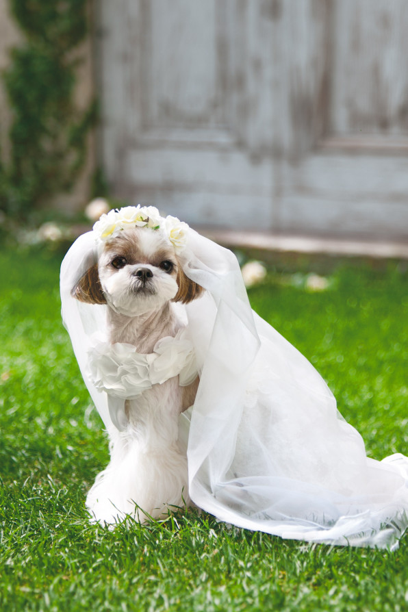 Wedding Dress Veil L W D Look Book