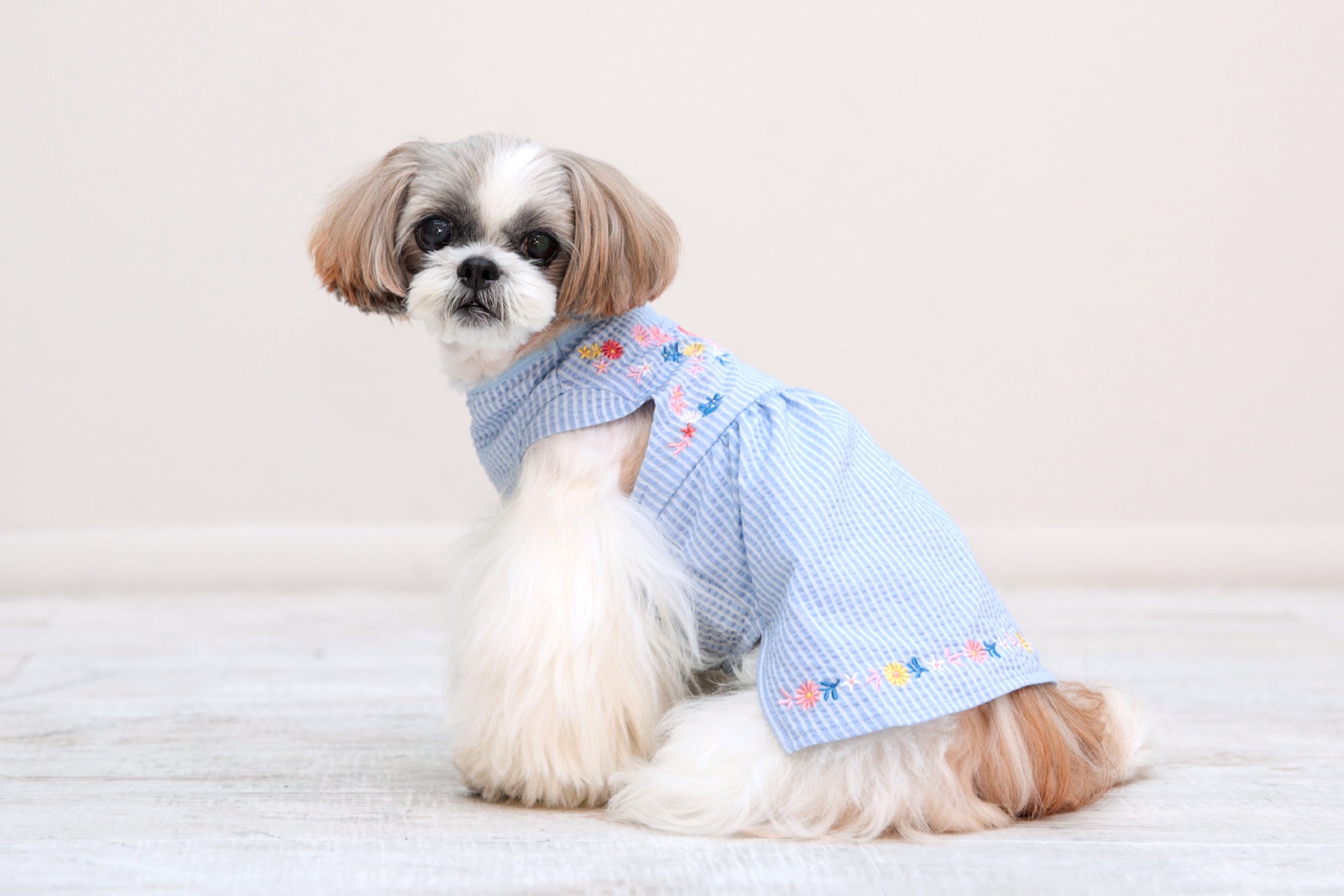 刺繍ワンピースクール 22SS | L.W.D. LOOK BOOK｜犬と生活 猫の