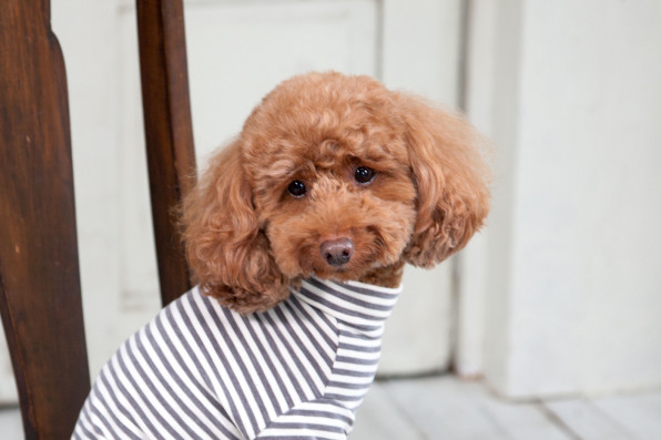 Arm Warm T Shirt L W D Look Book Arm Warm T Shirt L W D Look Book