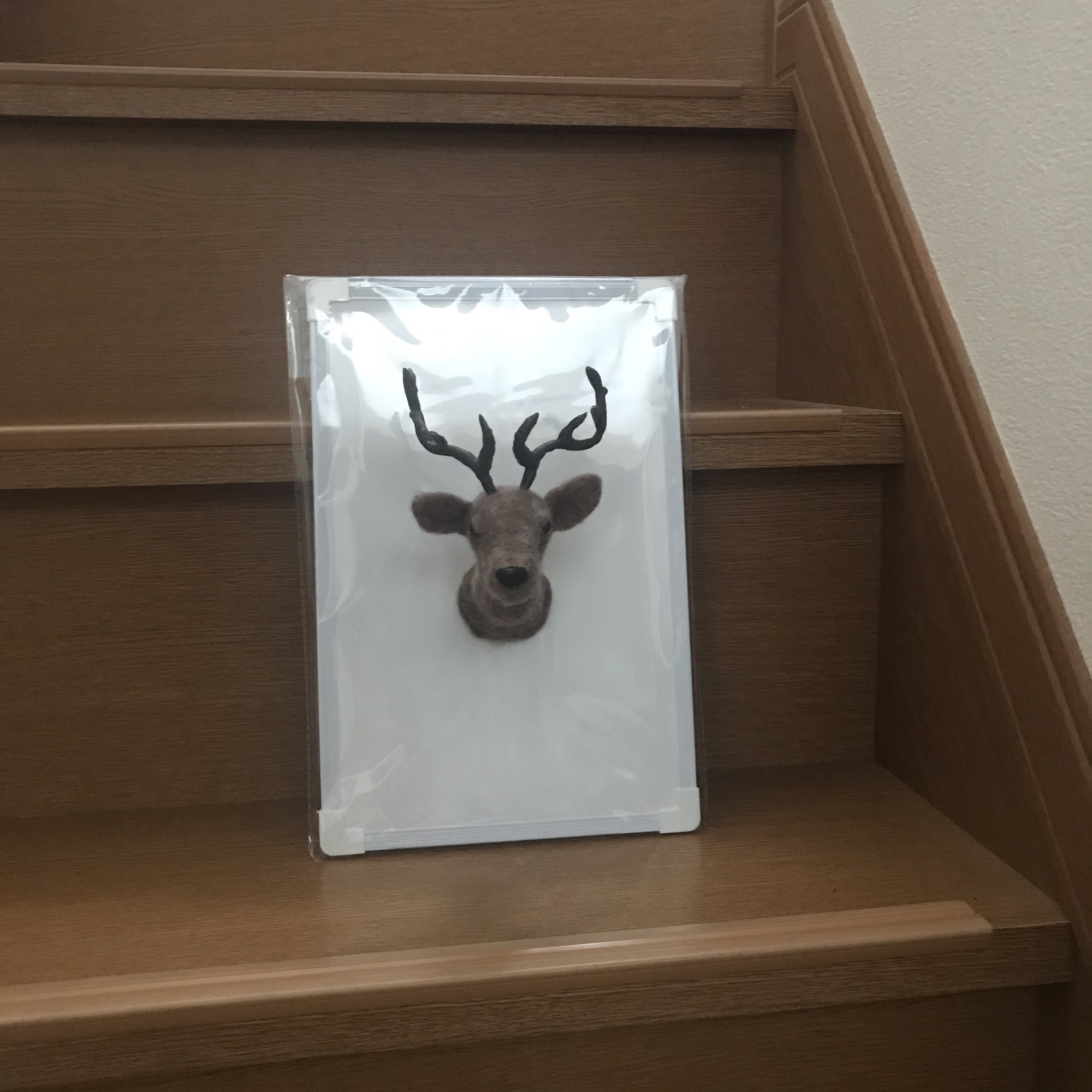 動物標本 子鹿の剥製 - 埼玉のアンティーク販売・買取のお店