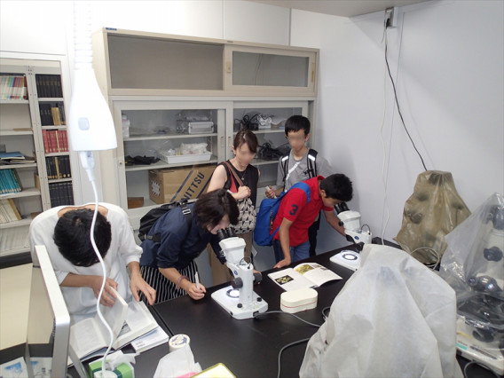 オープンキャンパス 東京海洋大学 藻類学研究室