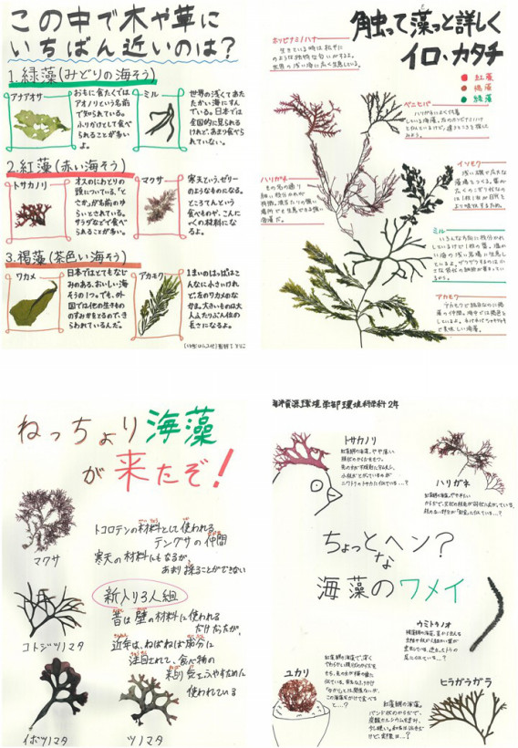 博物館学 作品投票結果 東京海洋大学 藻類学研究室