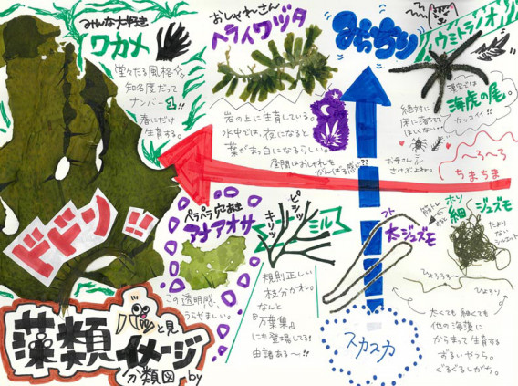 海藻ポスター作品 東京海洋大学 藻類学研究室 海藻ポスター作品 東京海洋大学 藻類学研究室