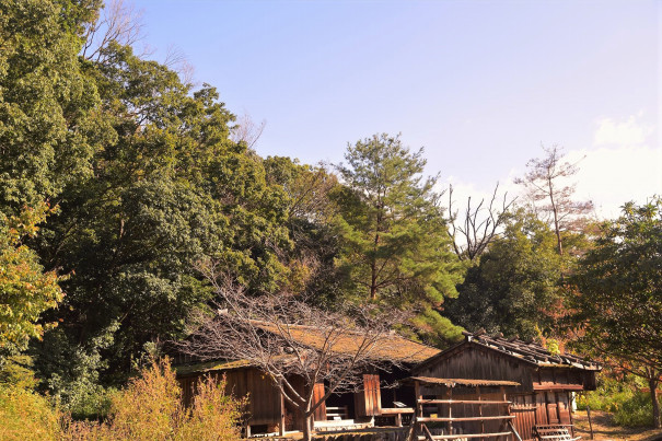 紅葉が始まる奈良県大和民俗公園 17 光と風の写真館 奈良県大和民俗公園の風景