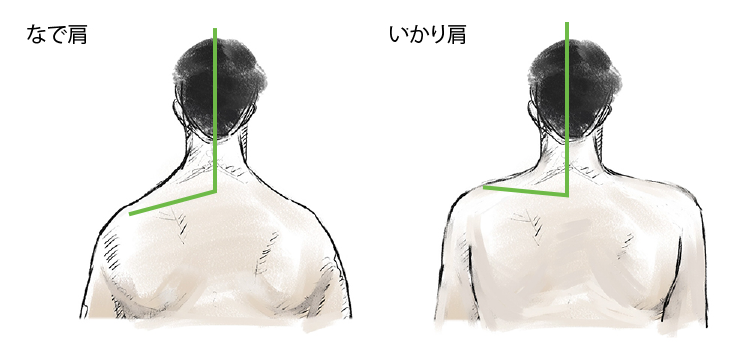 恵比寿 銀座で妊活鍼灸no １meilong なで肩とは 恵比寿の美容鍼灸サロンmeilong恵比寿院