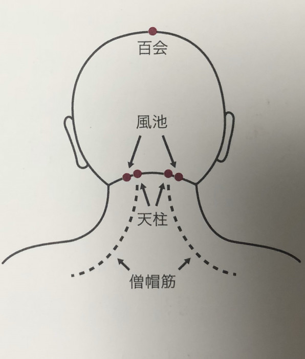 頭皮のツボ押しマッサージ Rewo Yuka Blog