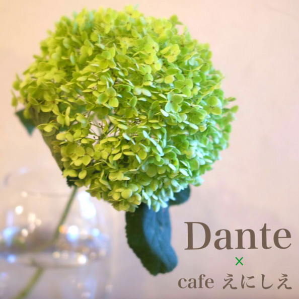 19 08 25 Sun アナベルのリース Cafe Enisie 19 08 25 Sun アナベルのリース Cafe Enisie