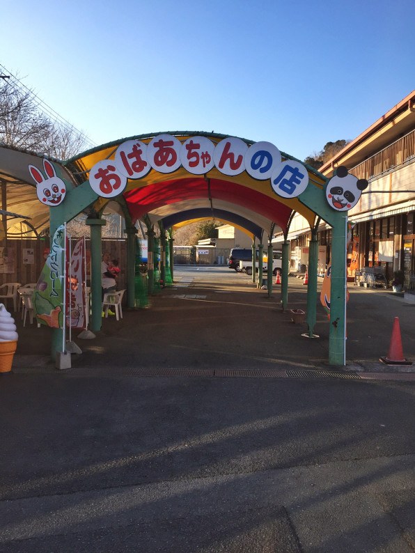 時間無制限で1 300円 1月からいちご狩り 五桂池ふるさと村 おうちdeラボ うちラボ アクア 生き物情報ブログ