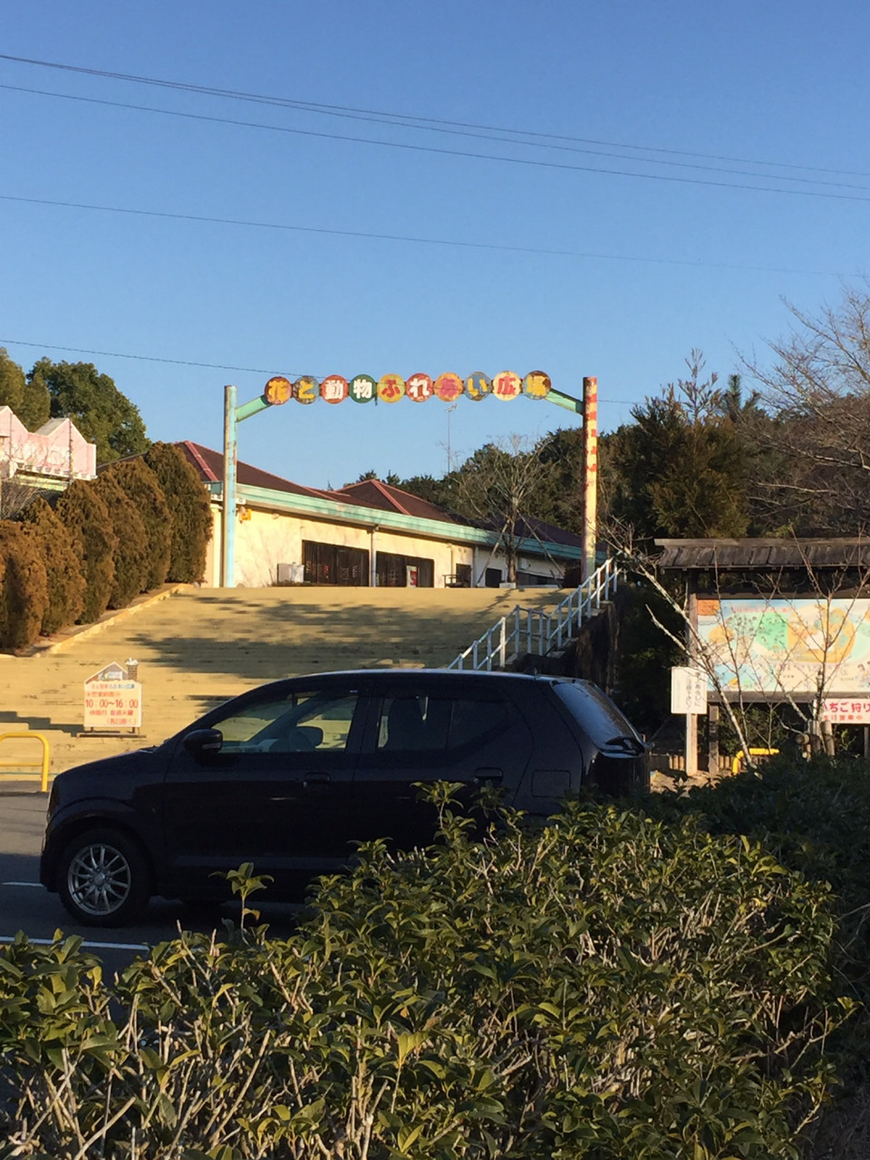 時間無制限で1 300円 1月からいちご狩り 五桂池ふるさと村 おうちdeラボ うちラボ アクア 生き物情報ブログ 時間無制限で1 300円 1月からいちご狩り 五桂池ふるさと村 おうちdeラボ うちラボ アクア 生き物情報ブログ