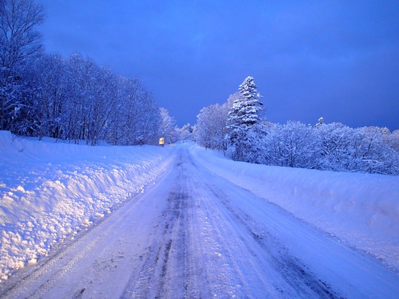 北海道の雪 Sapporo's first snowfall22 days earlier than last year